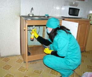 Уничтожение тараканов дома