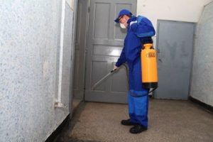 Уничтожение тараканов дома